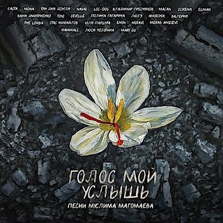 Российские артисты записали альбом в помощь пострадавшим в «Крокусе»