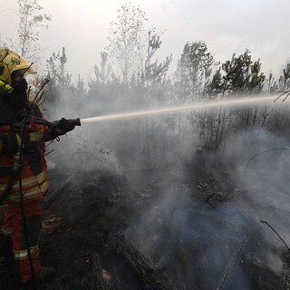 В России предрекли очень тяжелые природные пожары