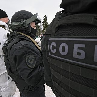 Глава МВД российского региона заявил о пяти ликвидированных ячейках террористов