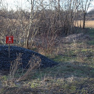На Украине участились случаи подрыва мирных жителей на минах ВСУ