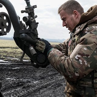 На Украине заявили о невозможности оценить количество оружия в теневом секторе