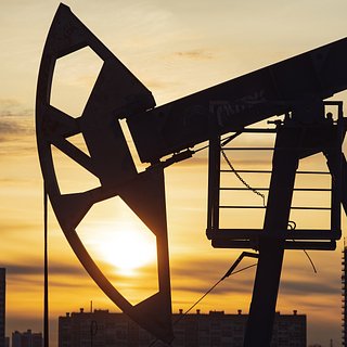 Россия нарастила поставки нефти в Индию