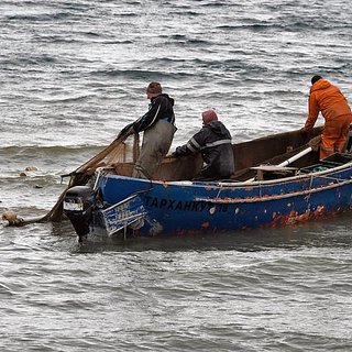 Российские рыбаки выловили «исполняющую желания» золотую рыбу