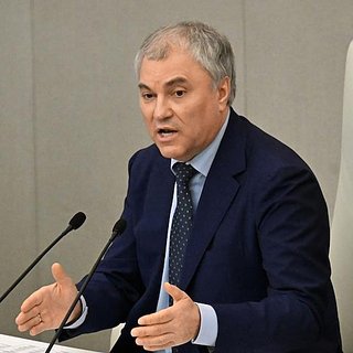 Володин призвал не скандалить из-за Центра Ильина в РГГУ