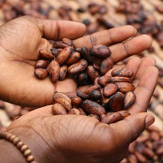 Колебания цен на какао оказались рекордными
