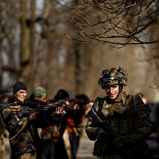 Раскрыто число воюющих на стороне Украины иностранных наемников