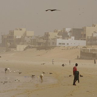 Россиянам назвали опасность песчаной пыли из Африки