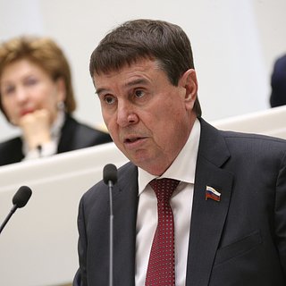 Сенатор оценил законопроект США о конфискации активов России