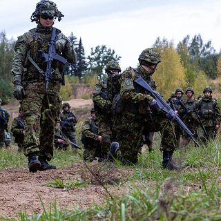 В Эстонии назвали условие для отправки военных на Украину