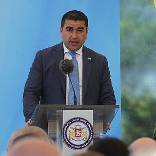 Парламент Грузии обвинил США в финансировании радикальных группировок