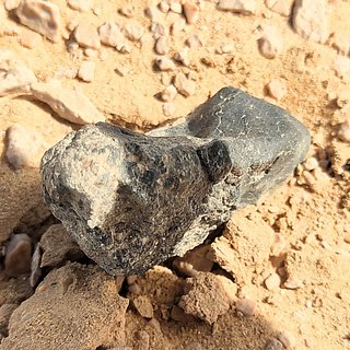 Найденный в Египте уникальный метеорит пополнил коллекцию российских астрономов