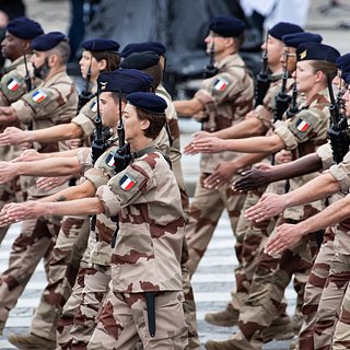 Экс-разведчик рассказал об отношении французской армии к России