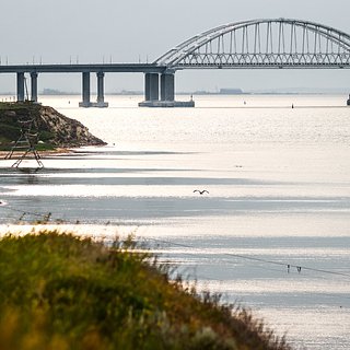 В Госдуме отреагировали на коллаж посла Литвы с Крымским мостом