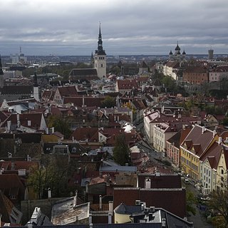 Эстония не будет высылать украинских мужчин на родину