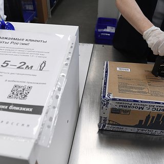 Стало известно задержках оформления посылок «Почты России»