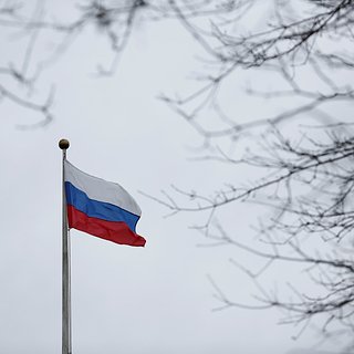 В столице Нигера подняли флаги России