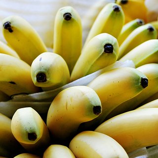 В Петербурге в партии свежих бананов обнаружили 60 килограммов кокаина