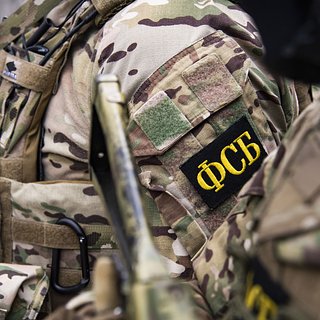 ФСБ показала видео допроса задержанной в ЛНР украинской наводчицы ВСУ