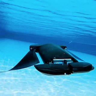 В США рассказали об огромном подводном дроне