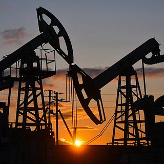 Индия рекордно увеличила закупку российской нефти