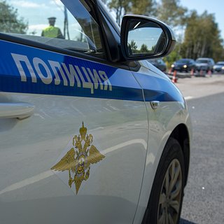 Россиянин избил росгвардейца на глазах у полицейских