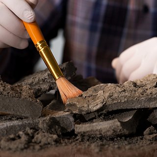 Археолог раскрыл происхождение тысячелетнего «Экскалибура»