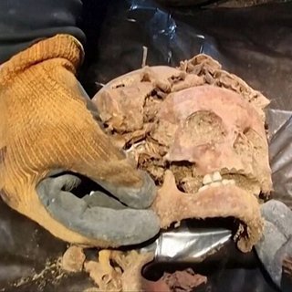 В «Волчьем логове» Гитлера нашли скелеты без стоп и ладоней