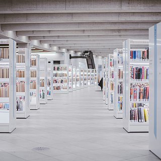 Из европейских библиотек изъяли тысячи пропитанных мышьяком книг