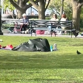 Пара занялась сексом в парке на глазах у семей с детьми