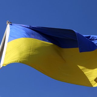 На Украине разгорелся скандал из-за киберпомощника МИД