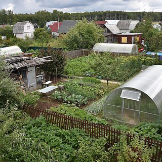 Россиянам дали советы по спасению огорода от заморозков