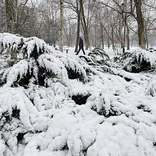 Аномальный снегопад обошелся российскому региону в 50 миллионов рублей