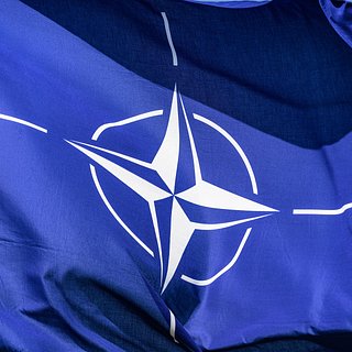 На Западе выступили с печальным для Украины заявлением насчет НАТО