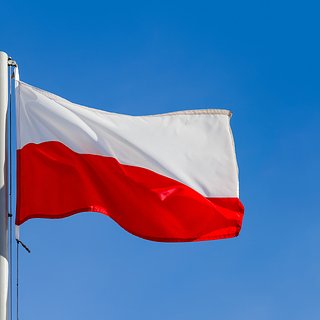 Польше предрекли проблемы из-за высылки украинских призывников