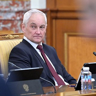 На Западе узнали мнение бывшего коллеги Шойгу о возможном назначении Белоусова