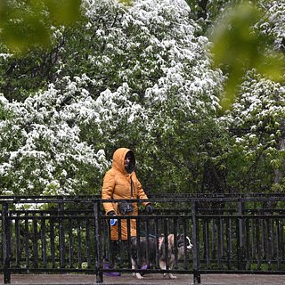 Начало мая в России назвали самым холодным в истории