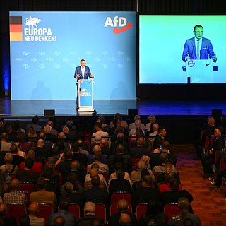 Партию «Альтернатива для Германии» признали подозреваемой в правом экстремизме