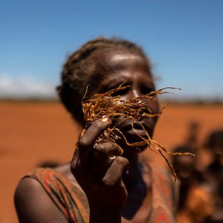 Сильнейшая засуха лишила африканскую страну почти всего урожая кукурузы